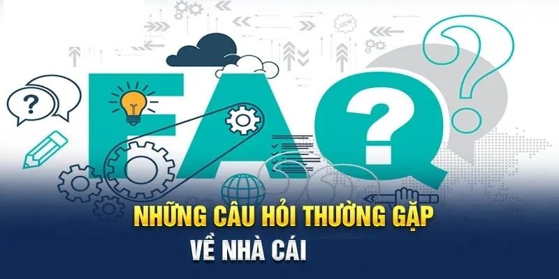 Các câu hỏi thường gặp